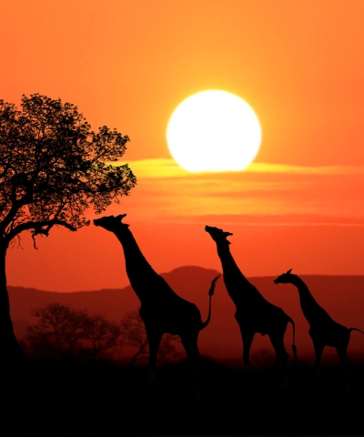South Africa